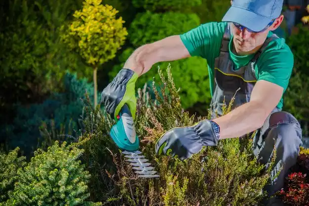 landscaping services Monson Center